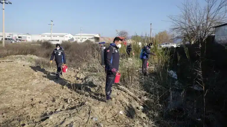 Dalamanda Sivrisinek Ile Mucadele Yil Boyunca Devam Ediyor 2