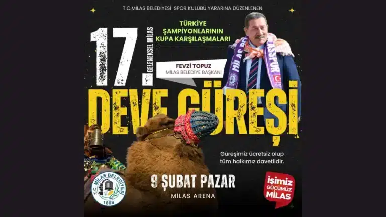 Yilin Buyuk Deve Guresi Milasta Gerceklesecek