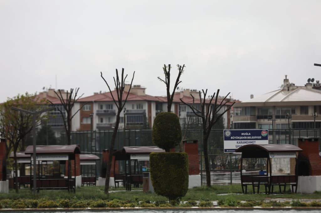 Muglada Agaclara Genclik Asisi Hem Doga Hem Guvenlik Icin Budama 4